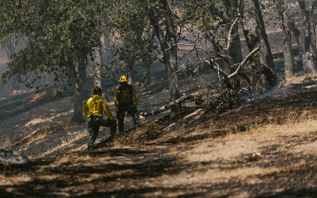 Natural disasters and the construction industry