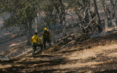 Natural disasters and the construction industry